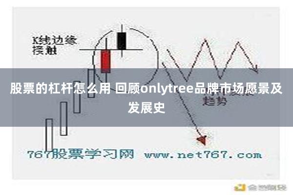 股票的杠杆怎么用 回顾onlytree品牌市场愿景及发展史