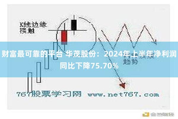 财富最可靠的平台 华茂股份：2024年上半年净利润同比下降75.70%