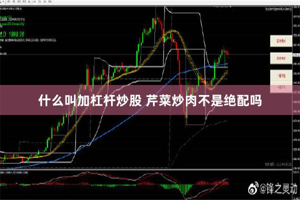 什么叫加杠杆炒股 芹菜炒肉不是绝配吗