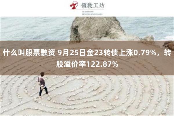 什么叫股票融资 9月25日金23转债上涨0.79%，转股溢价率122.87%