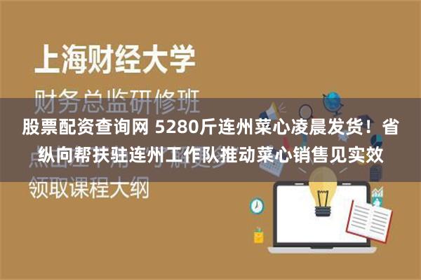 股票配资查询网 5280斤连州菜心凌晨发货！省纵向帮扶驻连州工作队推动菜心销售见实效