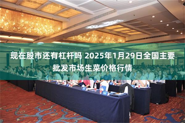 现在股市还有杠杆吗 2025年1月29日全国主要批发市场生菜价格行情